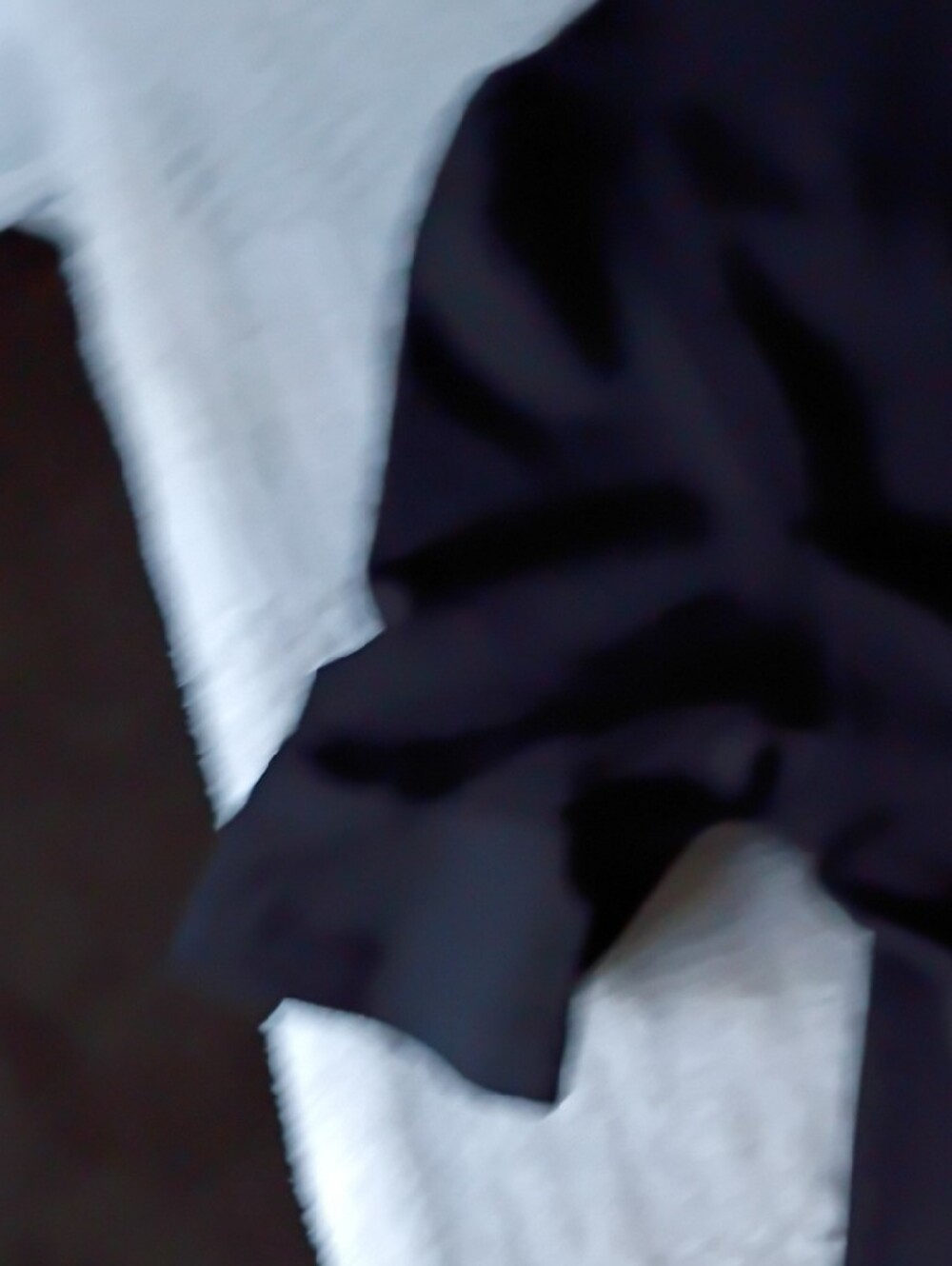 Apt. 9 Black Floral Wrap Midi Dress with Cream Blooms - Picture 11 of 11